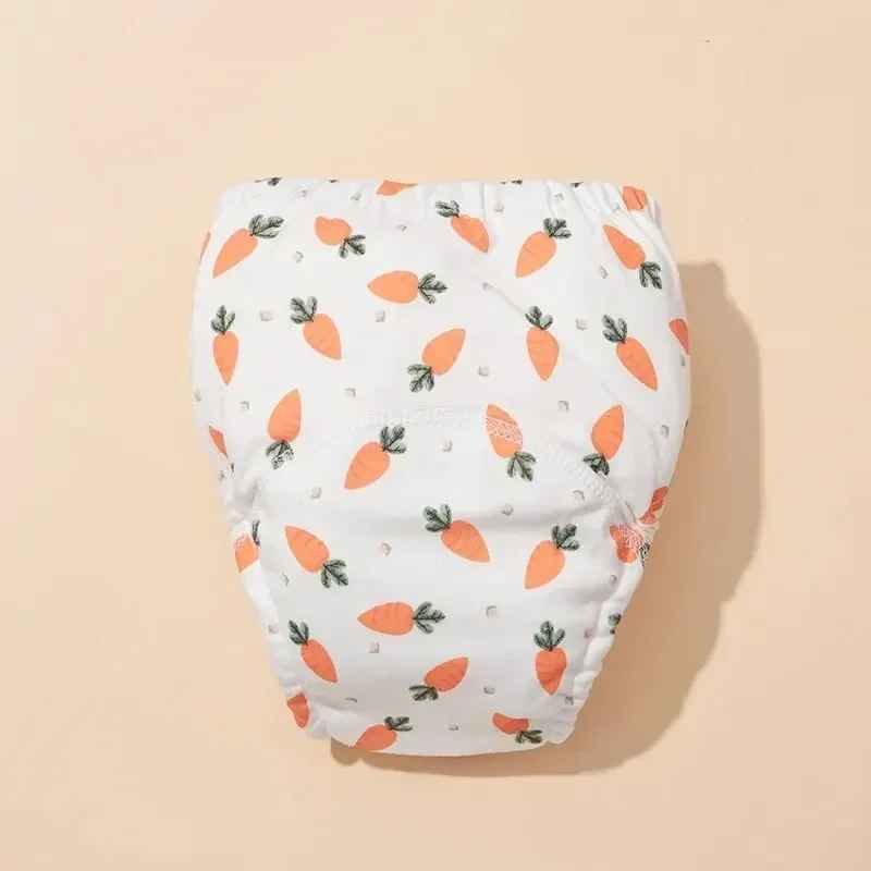culotte d'apprentissage carottes